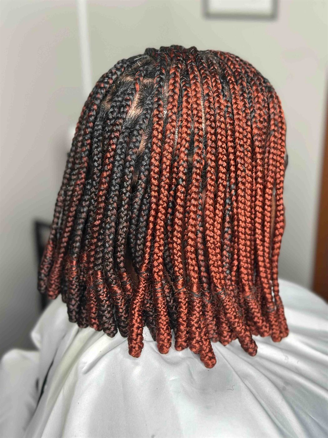 Copper and black knotless braids in a bob, each tip rolled under into a Bantu end, seen from behind